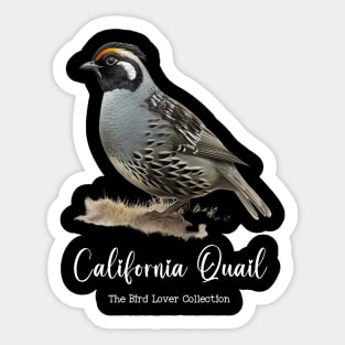 California Quail - The Bird Lover Collection Sticker